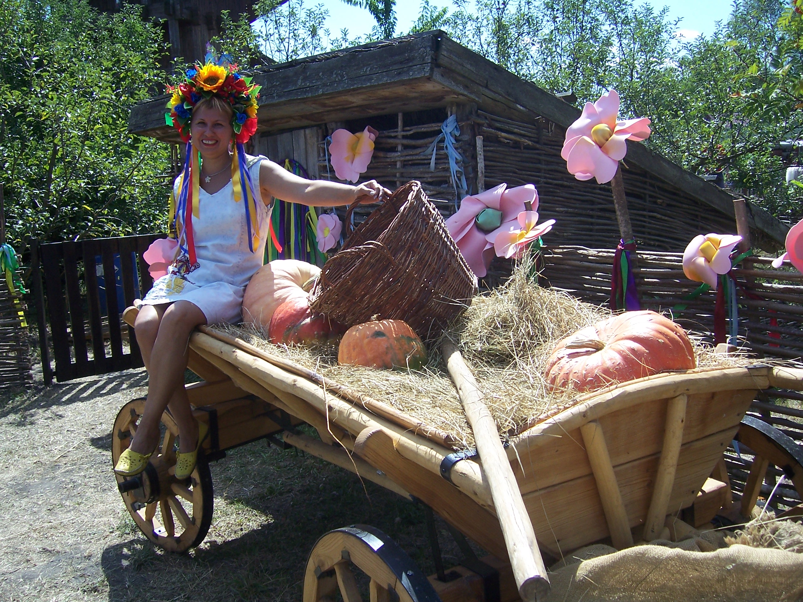 Сфотографуватися на возі так прикольно! Фото автора